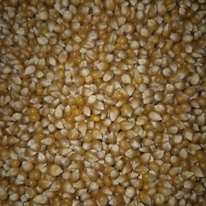 kukuruz kokiČar 1kg