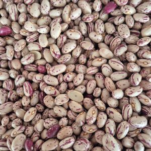 grah treŠnjevac 2kg